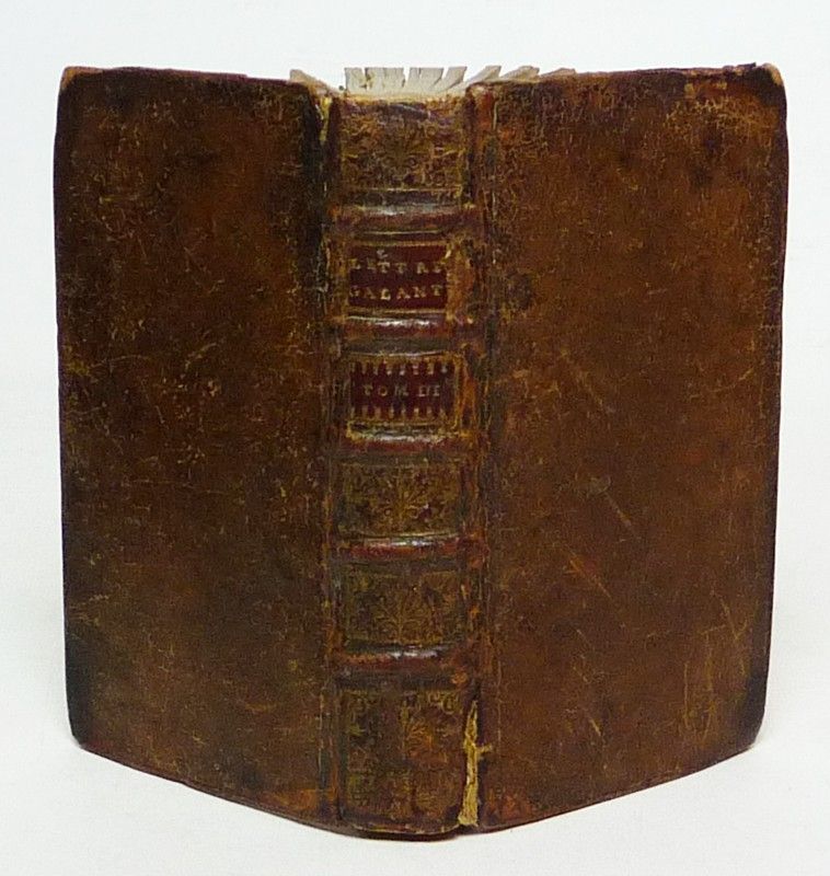 Lettres historiques et galantes de deux Dames de Condition, dont l'une étoit à Paris, et l'autre en Province. Ouvrage curieux, où l'on trouve les p