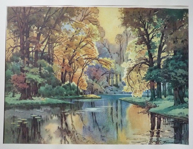 Illustration : Paysage forestier