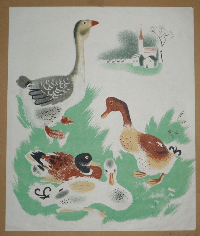 Illustration de Hélène Guertik : Oies et canards (La Ferme du Père Castor)