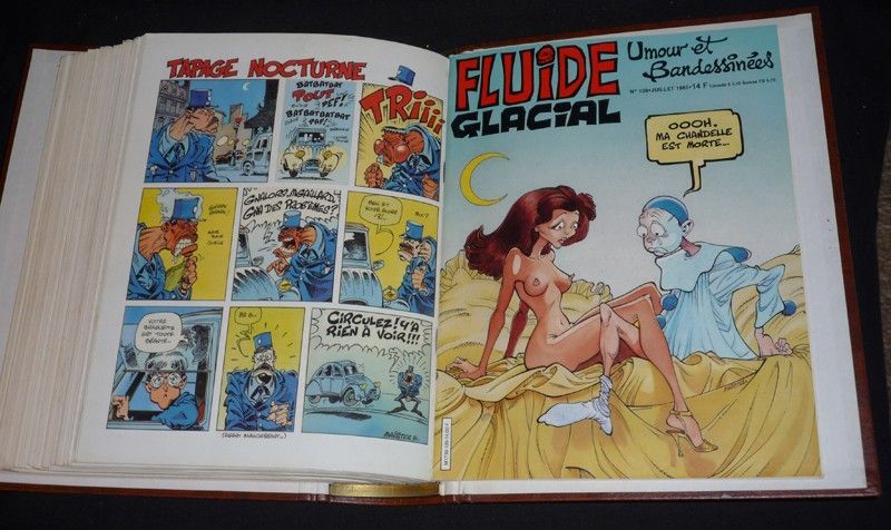 Fluide Glacial (n°98 à 109)