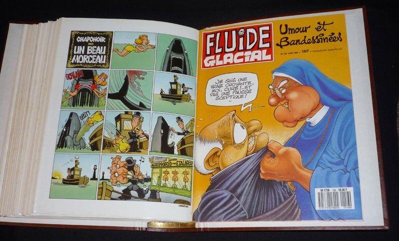 Fluide Glacial (n°145 à 156)