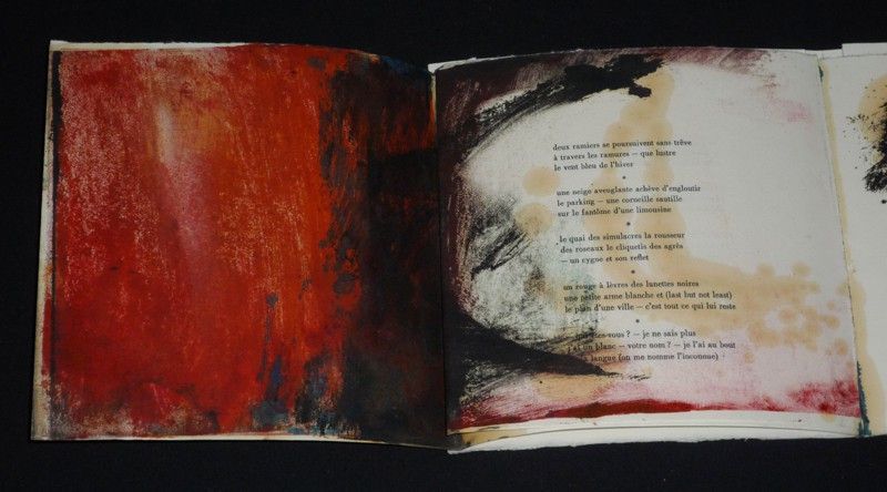 (Le Reste est invisible) livre peint par Catherine Cacquevel