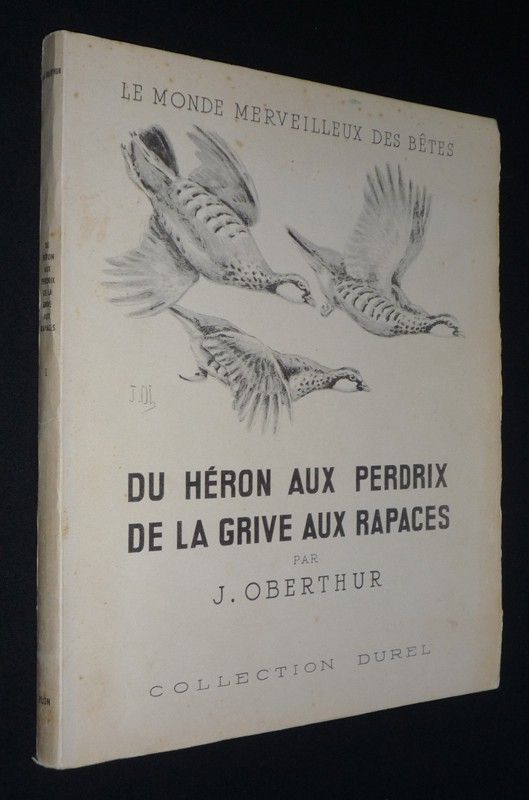 Du héron aux perdrix, de la grive aux rapaces. Tome 1 : Grands échassiers - Rallidés - Gallinacés - Colombidés - Grimpeurs