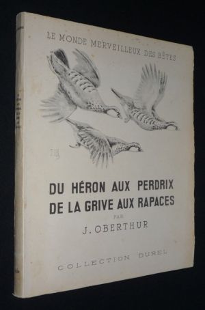Du héron aux perdrix, de la grive aux rapaces. Tome 1 : Grands échassiers - Rallidés - Gallinacés - Colombidés - Grimpeurs