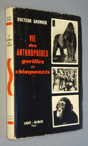 Vie des anthropoïdes : gorilles et chimpanzés