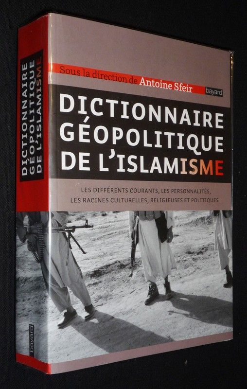 Dictionnaire géopolitique de l'islamisme : les différents courants, les personnalités, les racines culturelles, religieuses et politiques
