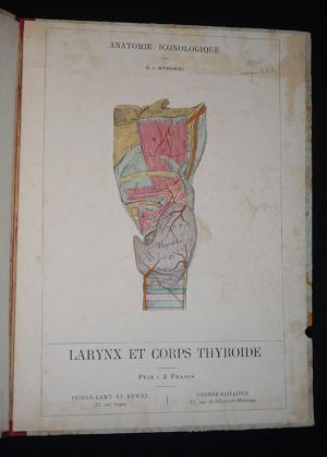 Anatomie iconologique : Larynx et corps thyroïde