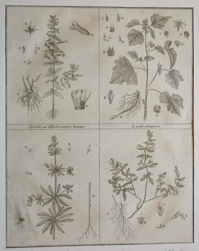 Gravure tirée du 