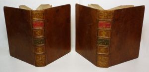 Dictionnaire de l'Académie Françoise, revu, corrigé et augmenté par l'Académie elle-même (2 volumes)