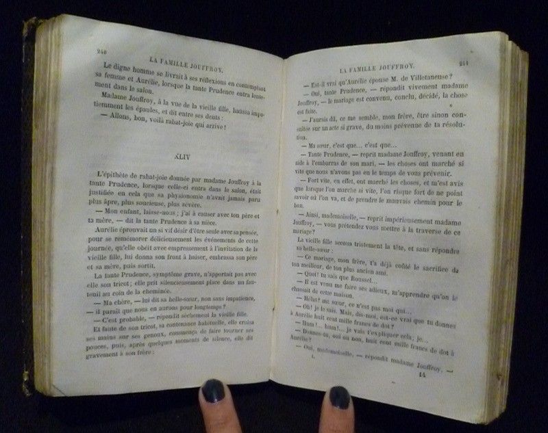 La famille Jouffroy (2 vol.)