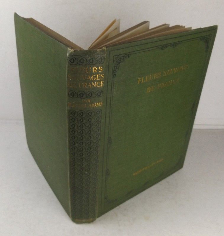 Fleurs sauvages de France