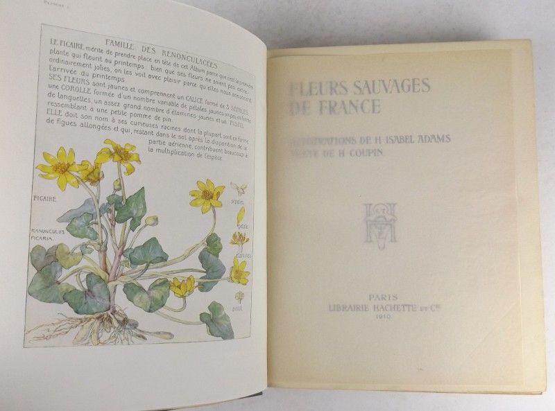 Fleurs sauvages de France