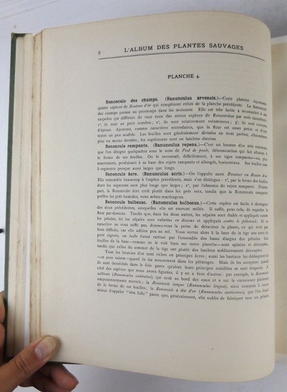 Fleurs sauvages de France