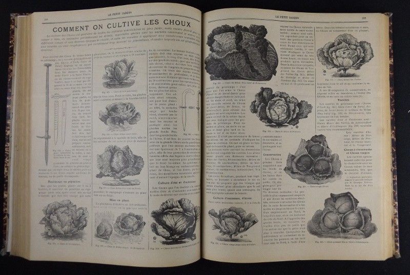 Le Petit Jardin. Journal pratique de Jardinage (1904 - 11e année)