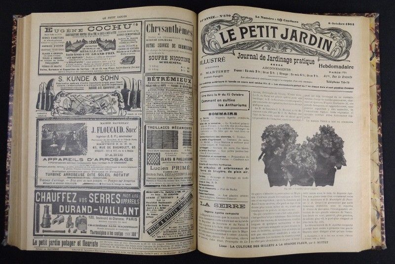 Le Petit Jardin. Journal pratique de Jardinage (1904 - 11e année)