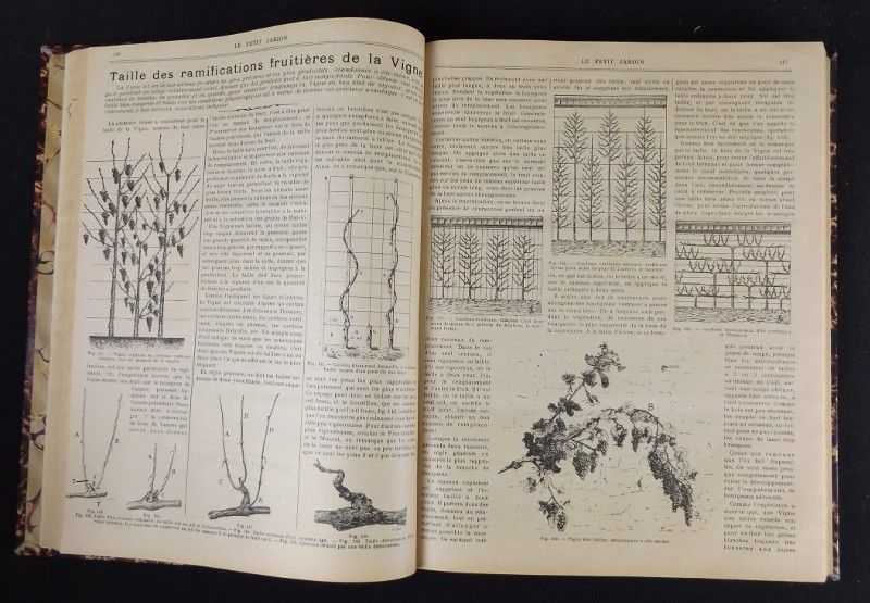Le Petit Jardin. Journal pratique de Jardinage et de la Vie à la Campagne (1906 - 13e année)