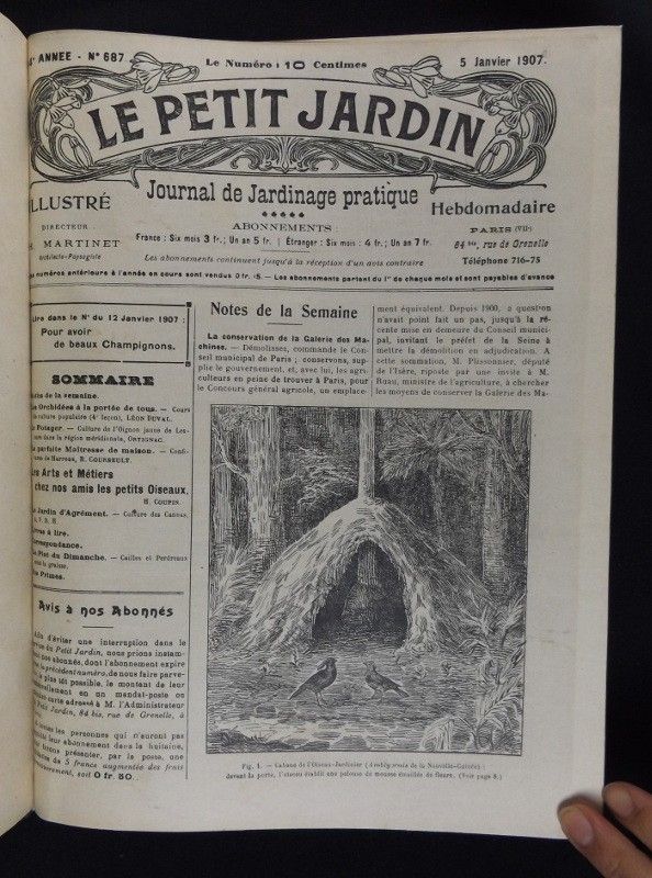 Le Petit Jardin. Journal pratique de Jardinage et de la Vie à la Campagne (1907 - 14e année)