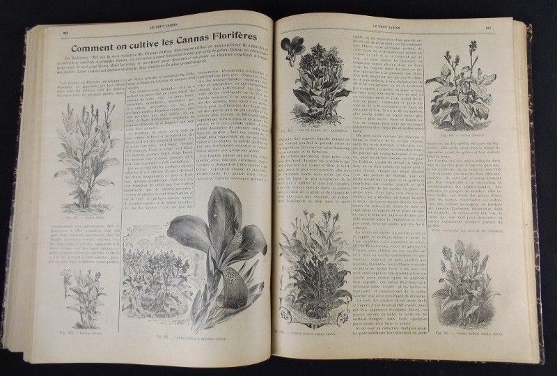 Le Petit Jardin. Journal pratique de Jardinage et de la Vie à la Campagne (1907 - 14e année)