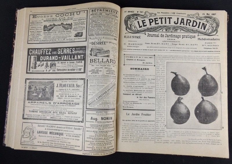 Le Petit Jardin. Journal pratique de Jardinage et de la Vie à la Campagne (1907 - 14e année)