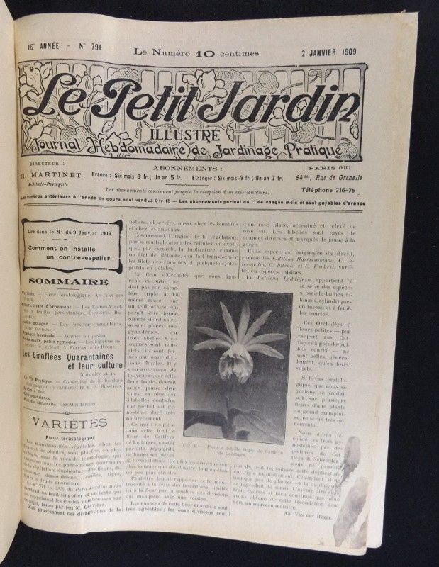 Le Petit Jardin. Journal pratique de Jardinage et de la Vie à la Campagne (1909 - 16e année)