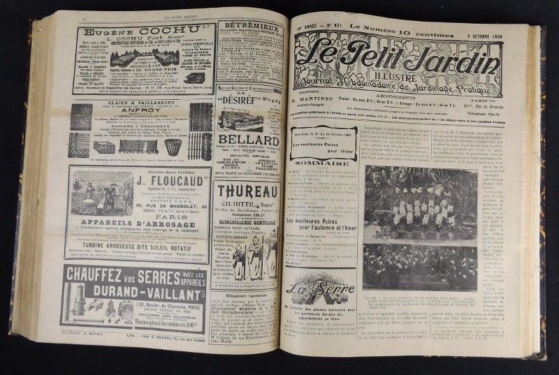 Le Petit Jardin. Journal pratique de Jardinage et de la Vie à la Campagne (1909 - 16e année)