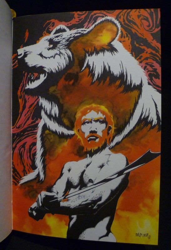 Les Vents de flammes - Le Fils du dieu ours