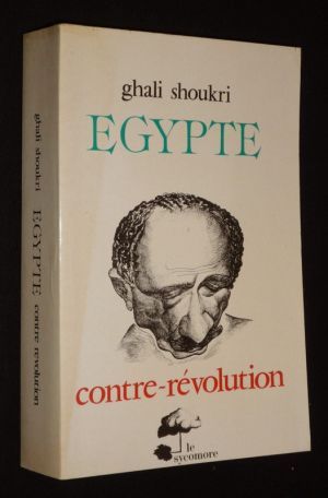 Egypte : la contre-révolution