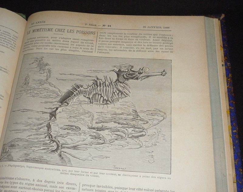Le Naturaliste, revue illustrée des sciences naturelles (9e et 10e années - 2e série - 1887-1888)