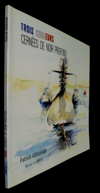 Trois couleurs cernées de noir profond