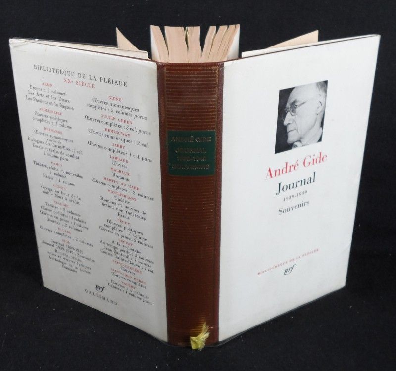 Journal d'André Gide, 1939-1949, Souvenirs (La Pléiade)