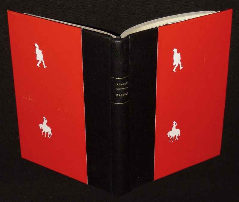 Un Peintre de l'épopée française : Raffet