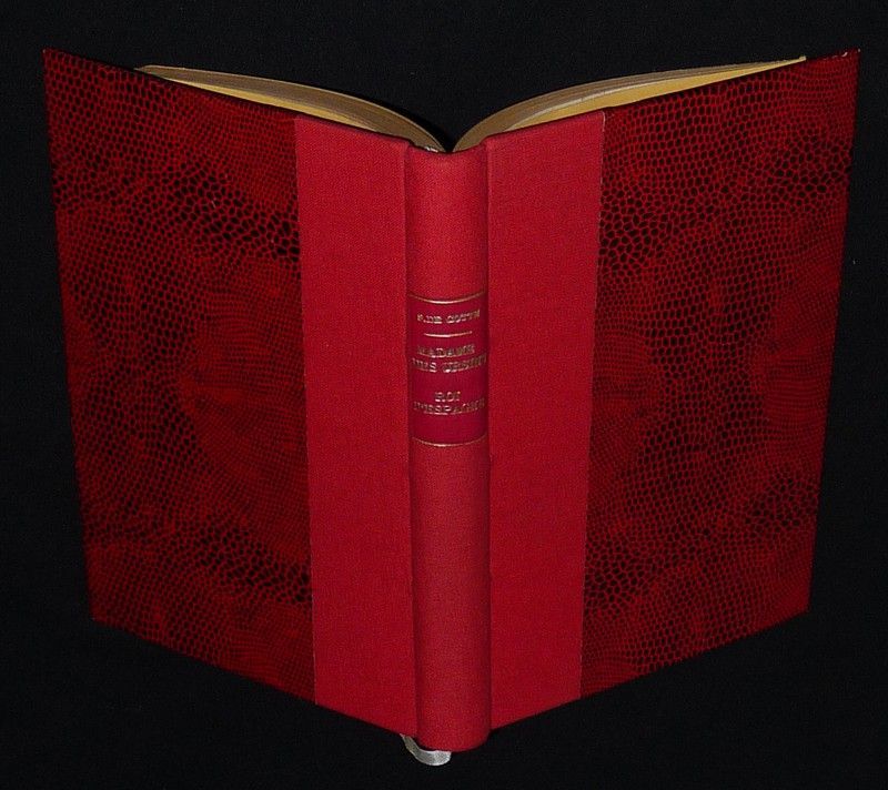 Madame des Ursins, roi d'Espagne