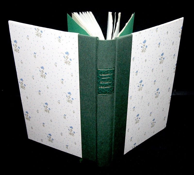 Eugénie Legarec, Armateur - Aventure d'une Cancalaise rebelle