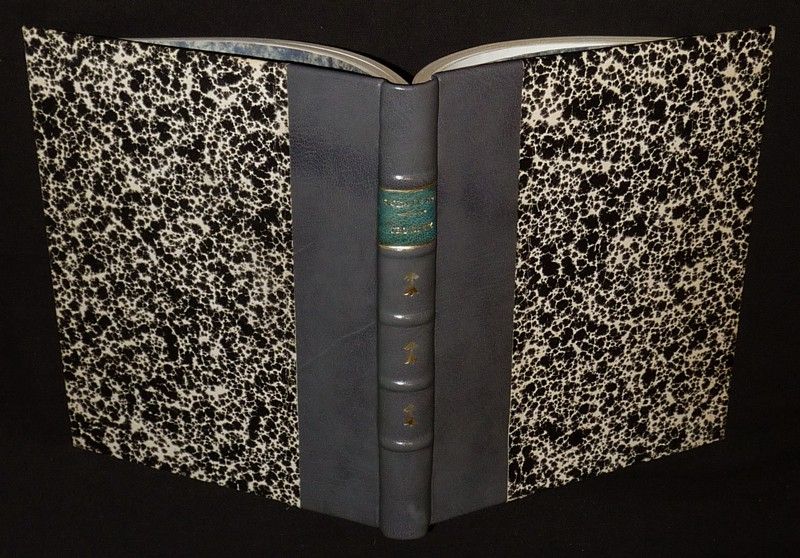 Tro-Breiz : Le pèlerinage aux sept saints de Bretagne