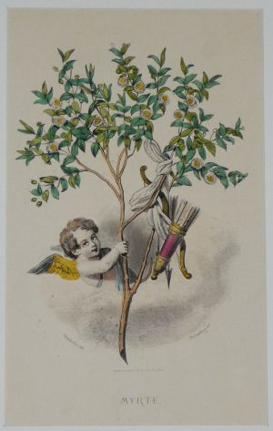 Gravure fin XIXe de Grandville pour "Les Fleurs animées" : Myrte