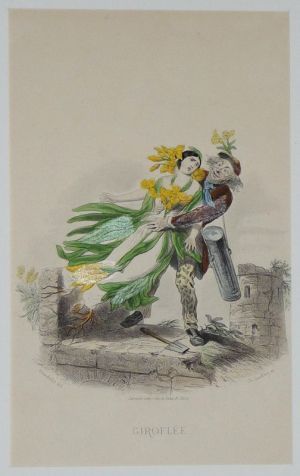 Gravure fin XIXe de Grandville pour "Les Fleurs animées" : Giroflée