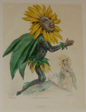 Gravure fin XIXe de Grandville pour "Les Fleurs animées" : Soleil