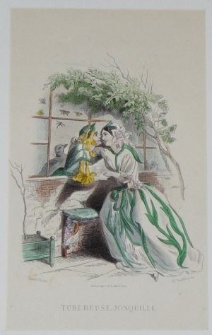 Gravure fin XIXe de Grandville pour "Les Fleurs animées" : Tubéreuse jonquille