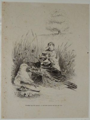 Gravure d'après J.-J. Grandville tirée du "Recueil comique de belles caricatures sur Chine" (1850) : Deux oiseaux prennent soin d'un vagabond