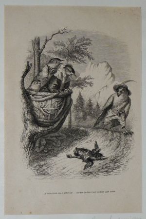 Gravure d'après J.-J. Grandville tirée du "Recueil comique de belles caricatures sur Chine" (1850) : Oiseau tombé du nid