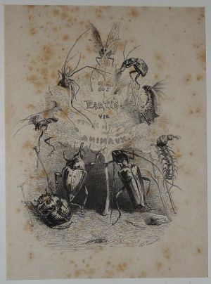Gravure d'après J.-J. Grandville tirée du "Recueil comique de belles caricatures sur Chine" (1850) : Scènes de la vie privée et publique des animaux
