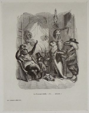 Gravure d'après J.-J. Grandville tirée de "Scènes de la vie privée et publique des animaux" (1853) : Les Animaux médecins