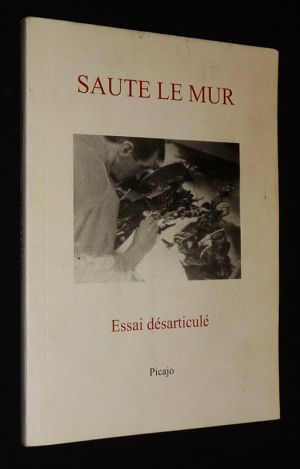 Saute le mur : Essai désarticulé