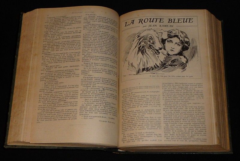 Dimanche illustré : Romans