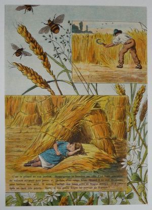 Illustration tirée de "La Gazette des enfants" (fin XIXe siècle) : Le bourdon