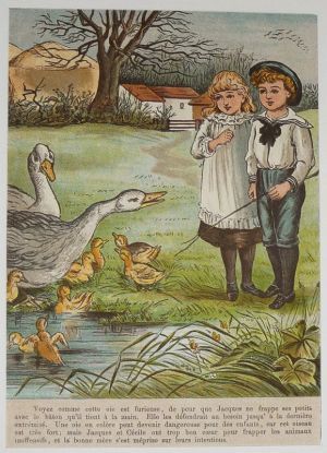 Illustration tirée de "La Gazette des enfants" (fin XIXe siècle) : Les oies