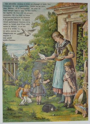 Illustration tirée de "La Gazette des enfants" (fin XIXe siècle) : Le pigeon