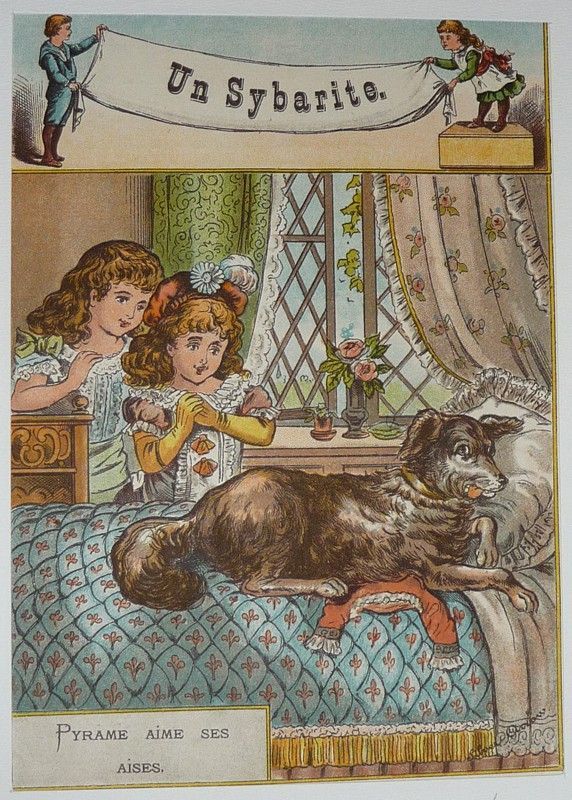 Illustration tirée de 