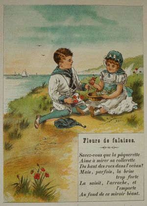 Illustration tirée de "La Gazette des enfants" (fin XIXe siècle) : Fleurs de falaises