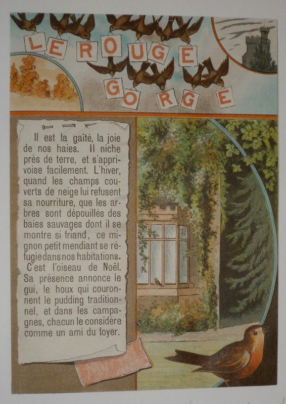 Illustration tirée de 